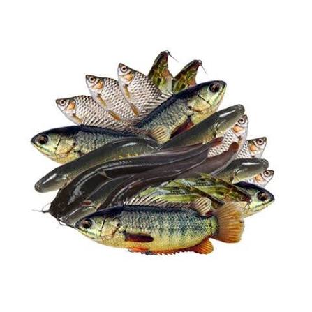 দেশি মাছ মিক্স